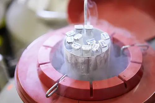 sperm-and-embryo-bank-in-lucknow